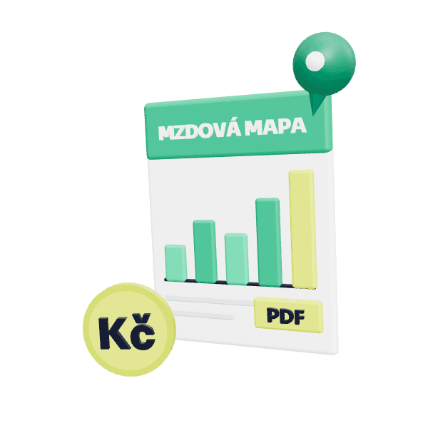 Mzdová mapa účetních pozic v Česku